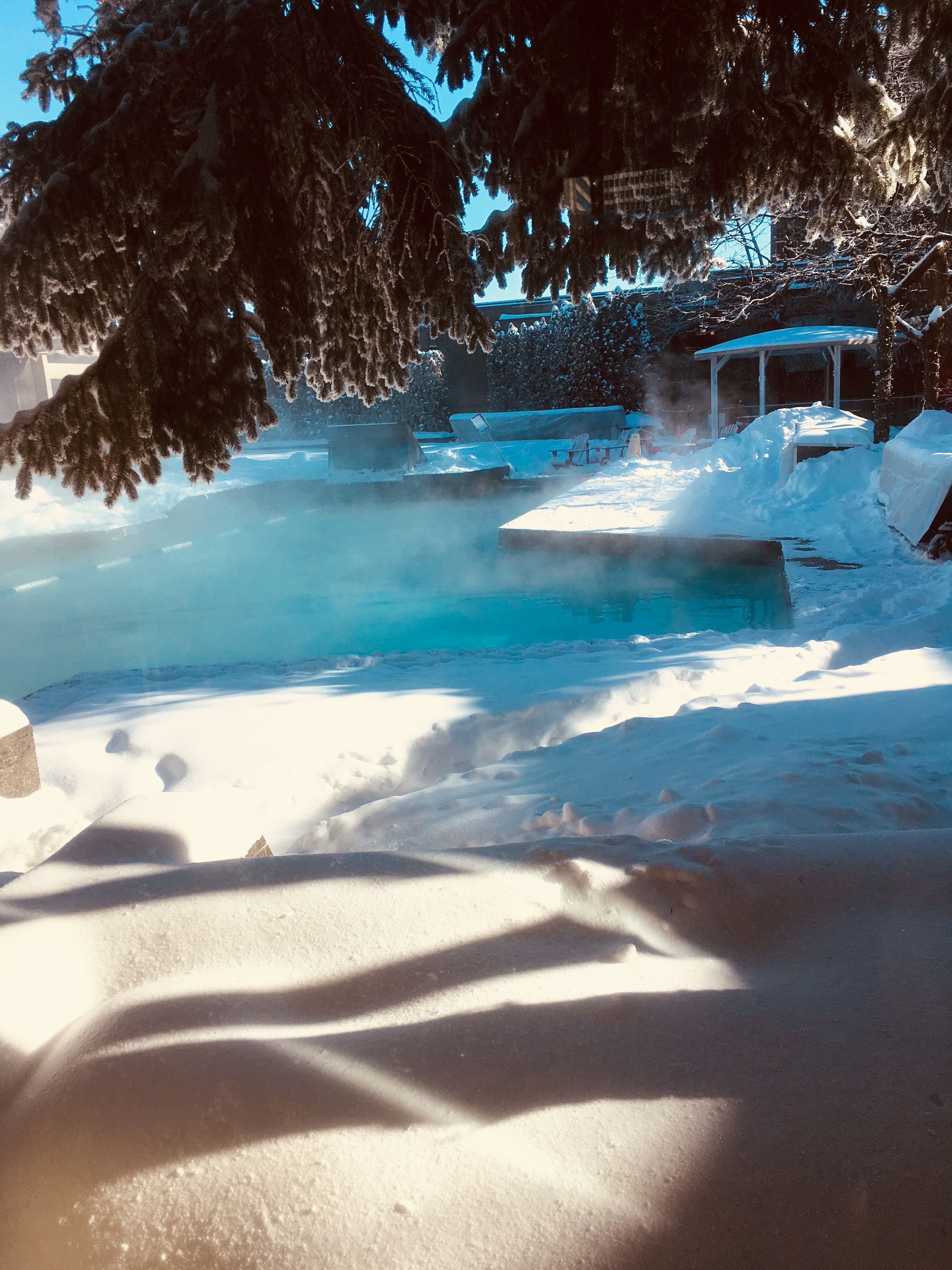 46319955_2712740165618080_1244178276767760384_n