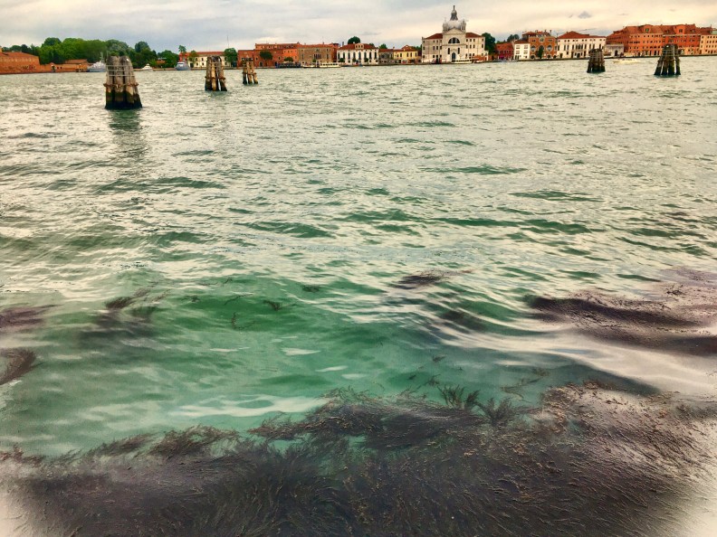 031073A9-1753-4C76-8425-57BFABA078C2